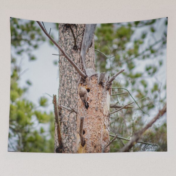 Item preview, Woodpecker designed and sold by MollyBukovac.
