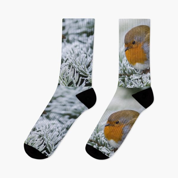 Item preview, Robin on frosted pine branch designed and sold by Andrew Fletcher Photography.