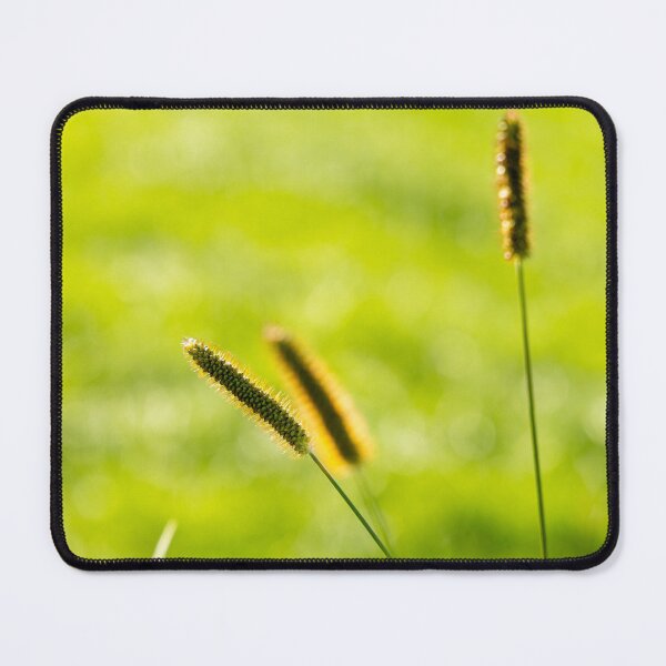 Item preview, Golden grass spikes sway gently under warm sunlight in a lush green field designed and sold by BigBadJogr.