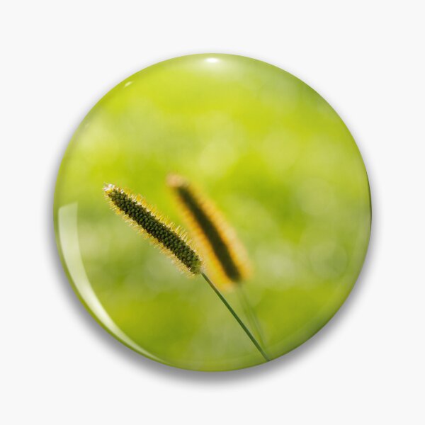 Item preview, Golden grass spikes sway gently under warm sunlight in a lush green field designed and sold by BigBadJogr.