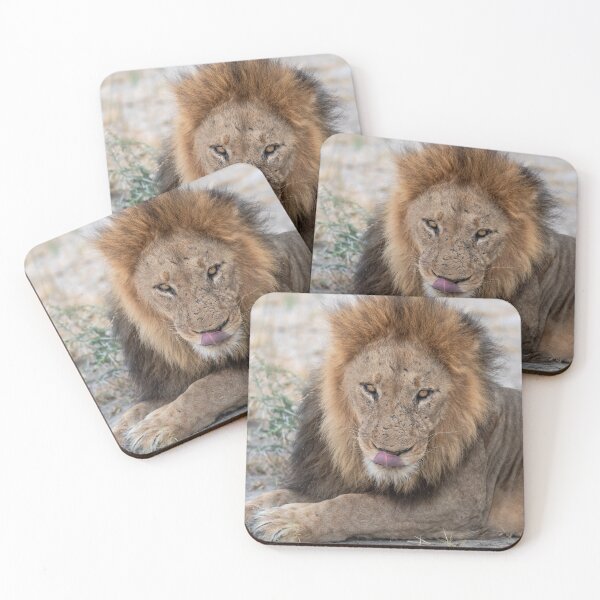 Item preview, Gaam of the Marsh Pride – A Fierce and Playful King of Savuti designed and sold by DavideAntoniani.