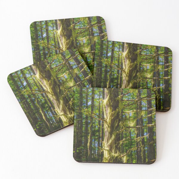 Item preview, Bearded Lichen in Nagano Highland Forest in Japan designed and sold by Pix4Japan.