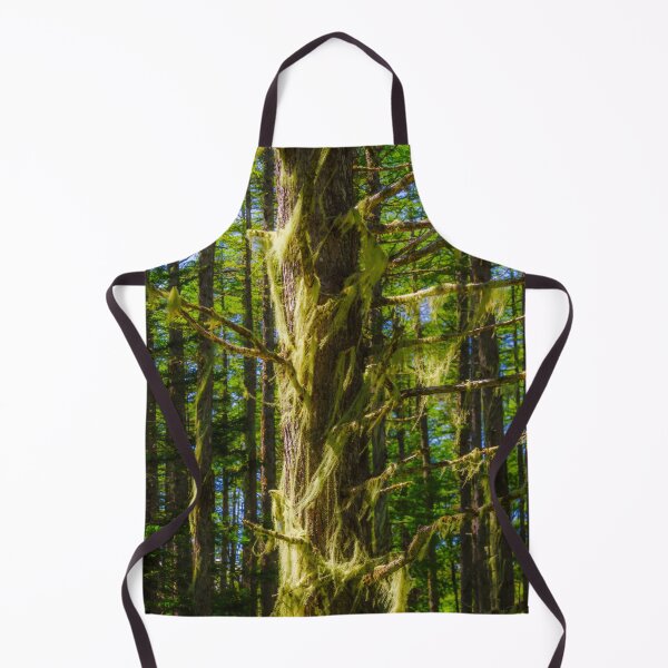 Item preview, Bearded Lichen in Nagano Highland Forest in Japan designed and sold by Pix4Japan.