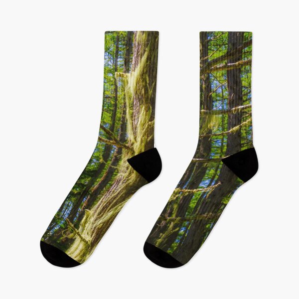 Item preview, Bearded Lichen in Nagano Highland Forest in Japan designed and sold by Pix4Japan.