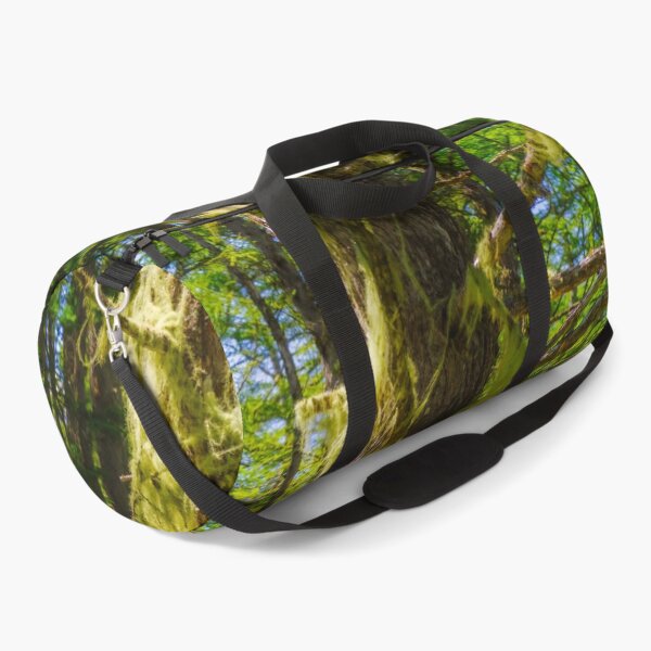 Item preview, Bearded Lichen in Nagano Highland Forest in Japan designed and sold by Pix4Japan.