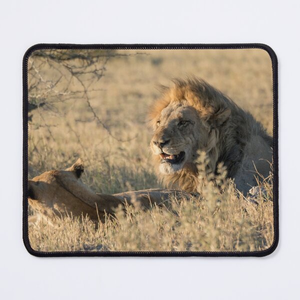 Item preview, Tornose – The Silent King of the Marsh Pride, Savuti designed and sold by DavideAntoniani.