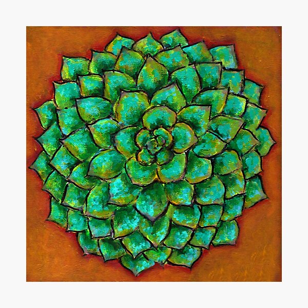Succulent Mandala Photographic Print