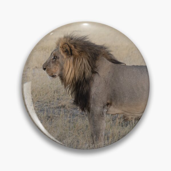 Item preview, Tornose: The Silent Strength of the Marsh Pride – Botswana Safari Lion designed and sold by DavideAntoniani.