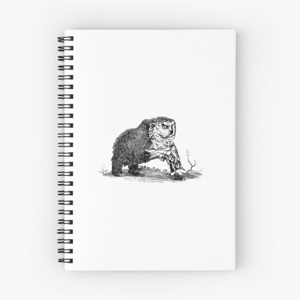Item preview, Medieval Owlbear  	 designed and sold by qkhdhaxia67.