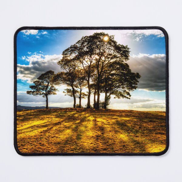 Item preview, Golden Sunset Through a Copse of Trees designed and sold by Paul Thompson Photography.