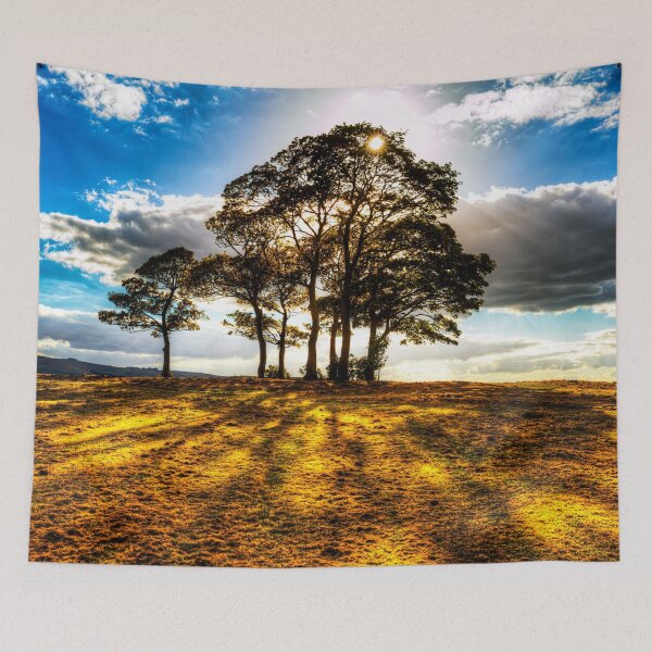 Item preview, Golden Sunset Through a Copse of Trees designed and sold by Paul Thompson Photography.