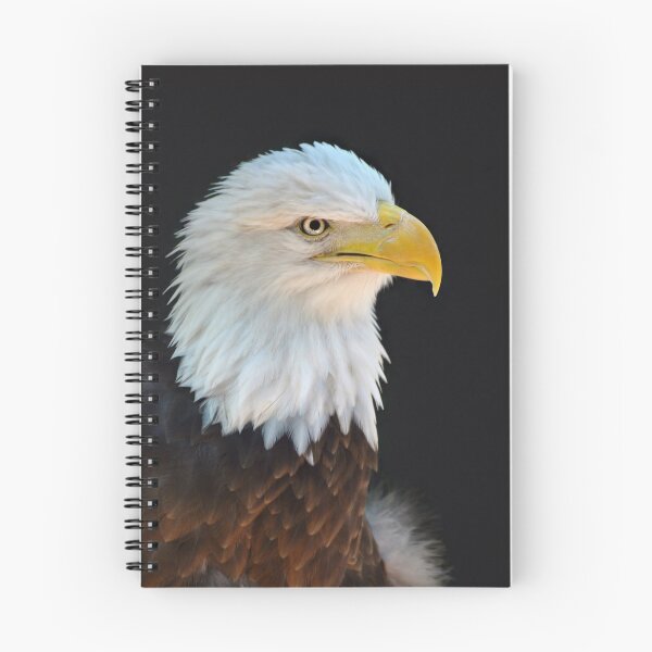 Item preview, American Bald Eage designed and sold by Savannah Gibbs.