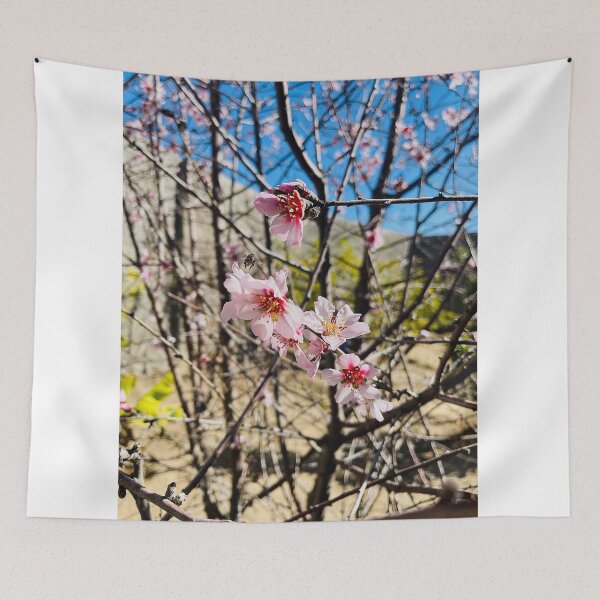Item preview,  * Almond Blossoms in the Sun  * The First Sign of Spring  * A Gentle Touch of Pink  * Dancing Almond Flowers Tags designed and sold by Ladonchy.