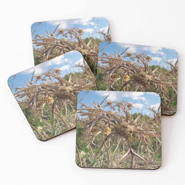 Item preview, Close-Up Of Dried Spiky Thistle Seedhead In a Sunny Field Under Blue Sky designed and sold by Nmallia.