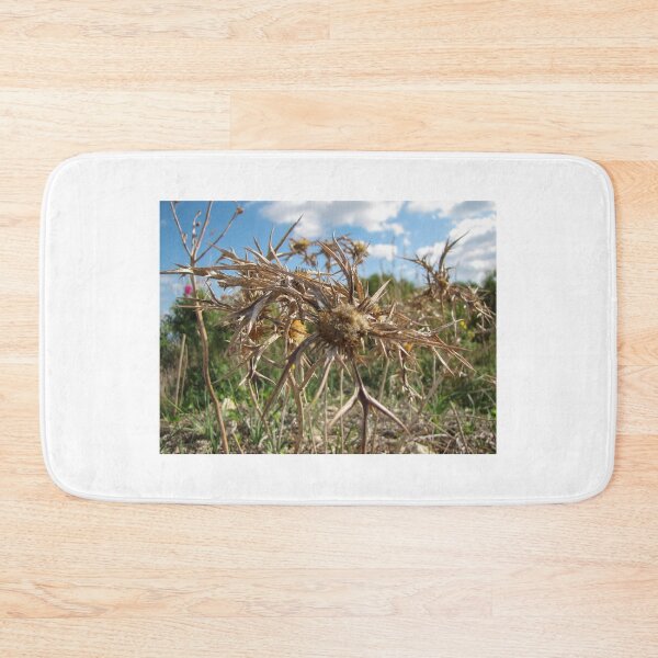 Item preview, Close-Up Of Dried Spiky Thistle Seedhead In a Sunny Field Under Blue Sky designed and sold by Nmallia.