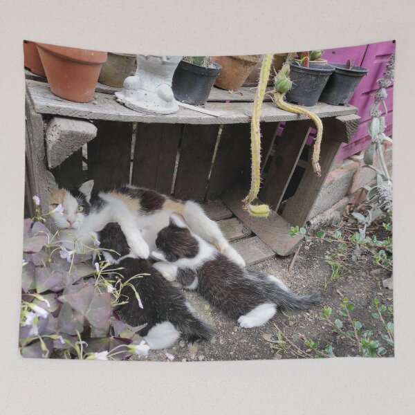 Item preview, Cat with children designed and sold by Gourmetkater.