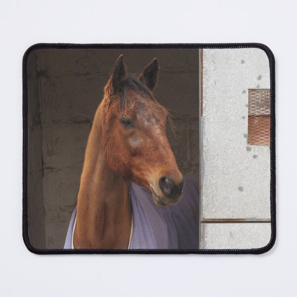 Item preview, Curious Brown Horse Peeks Out From Stable Door At Dawn, Calm and Gentle Expression designed and sold by Nmallia.