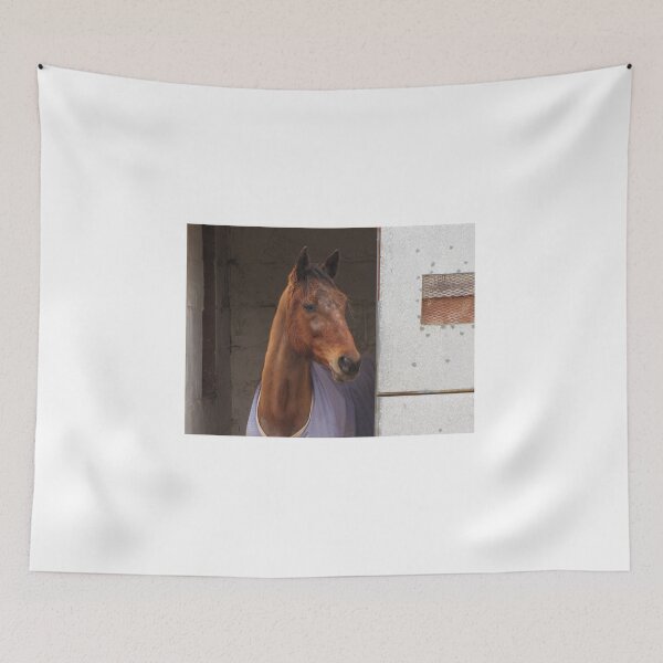 Item preview, Curious Brown Horse Peeks Out From Stable Door At Dawn, Calm and Gentle Expression designed and sold by Nmallia.