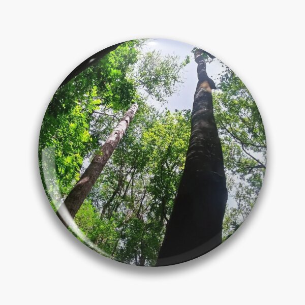 Item preview, forest designed and sold by MaxCardoso.