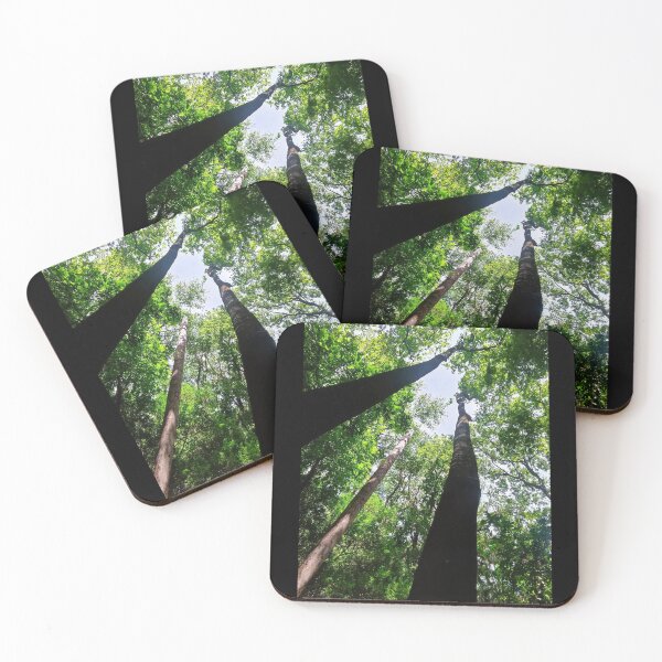 Item preview, forest designed and sold by MaxCardoso.