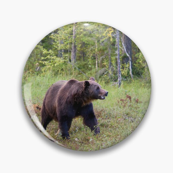 Item preview, King of the forest. Brown bear 2025 designed and sold by Jouko Lehto Photography.