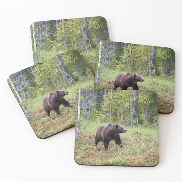 Item preview, King of the forest. Brown bear 2025 designed and sold by Jouko Lehto Photography.