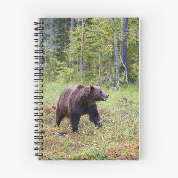 Item preview, King of the forest. Brown bear 2025 designed and sold by Jouko Lehto Photography.