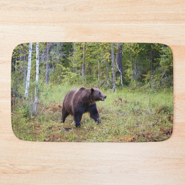 Item preview, King of the forest. Brown bear 2025 designed and sold by Jouko Lehto Photography.