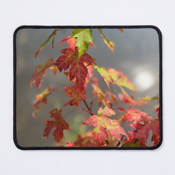 Item preview, Where Summer Touches Autumn designed and sold by Lana Magnolia.