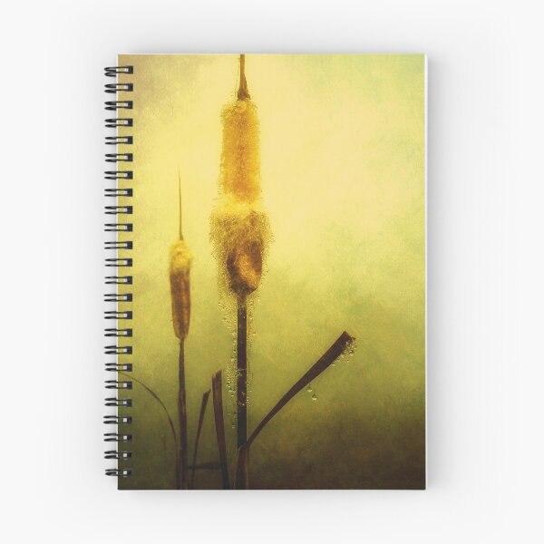 Item preview, Cattails in Morning Light designed and sold by James DeFazio.