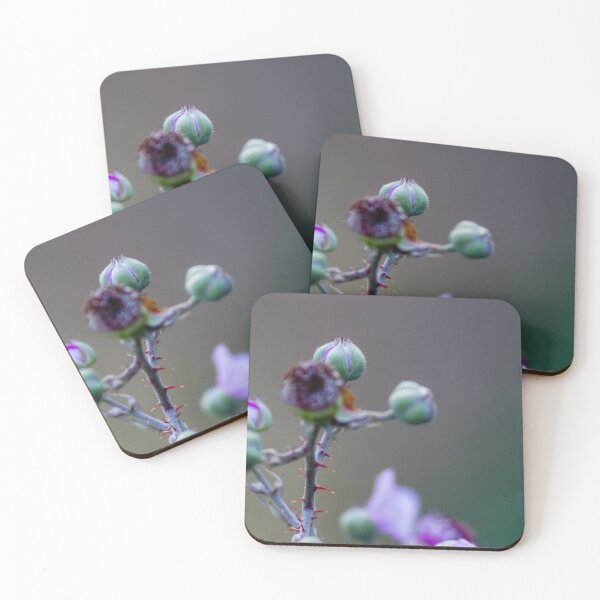 Item preview, Close-Up of Purple Flower Buds on Thorny Stem Against Soft Blurred Background designed and sold by Nmallia.