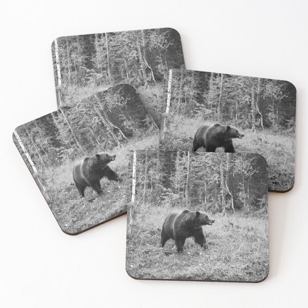Item preview, King of the forest. Brown bear 2025 bw designed and sold by Jouko Lehto Photography.