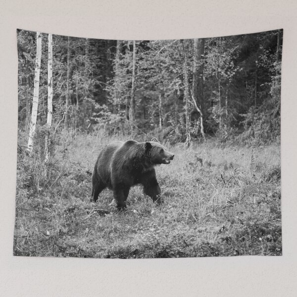 Item preview, King of the forest. Brown bear 2025 bw designed and sold by Jouko Lehto Photography.