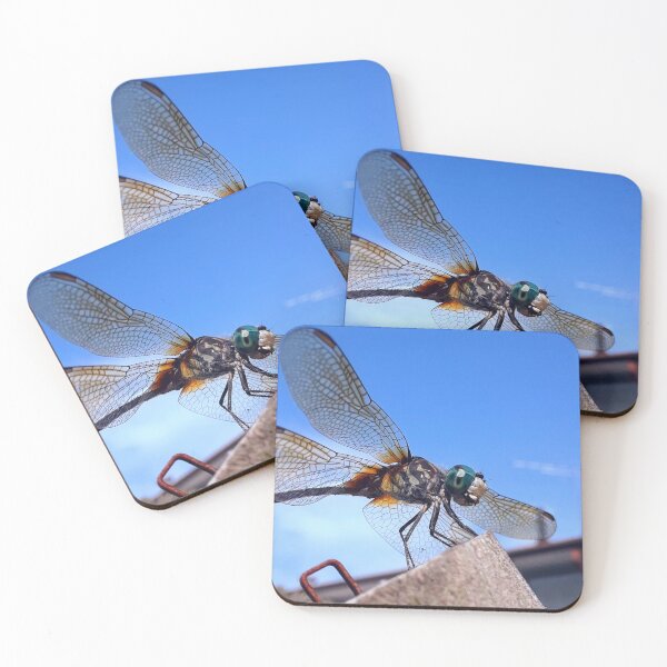 Item preview, Pretty dragonfly up close designed and sold by mellowmornings.