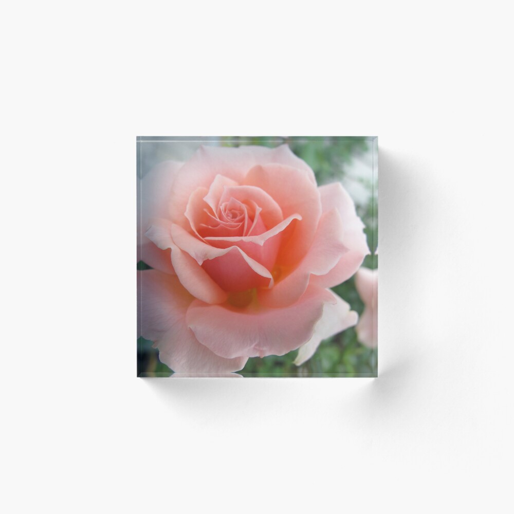 Item preview, Acrylic Block designed and sold by MarianBendeth.