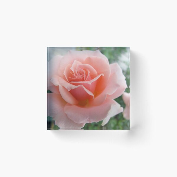 Item preview, On Display designed and sold by MarianBendeth.