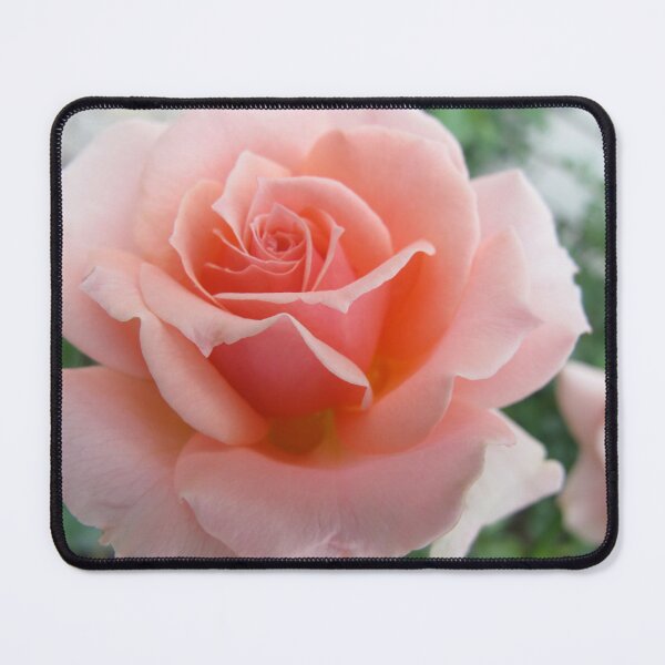 Item preview, On Display designed and sold by MarianBendeth.