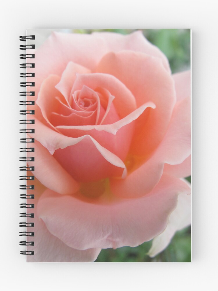 Thumbnail 1 of 3, Journal, On Display designed and sold by MarianBendeth.