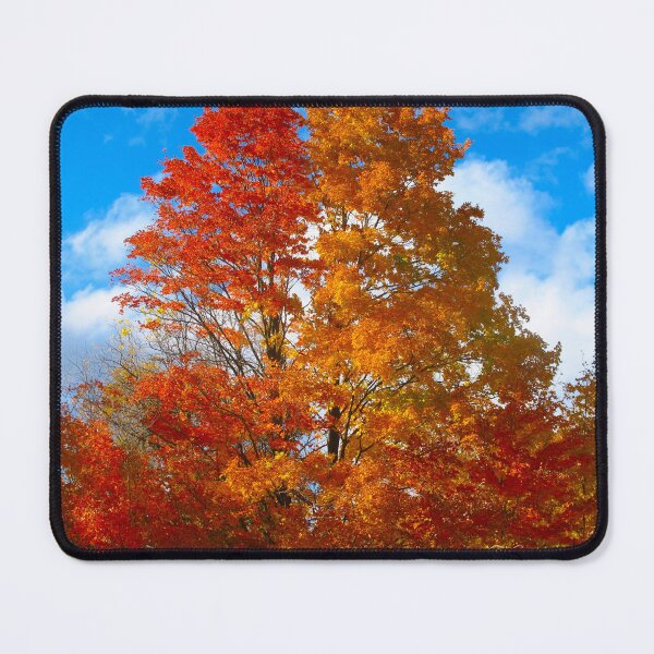 Item preview, Orange Autumn designed and sold by MarianBendeth.