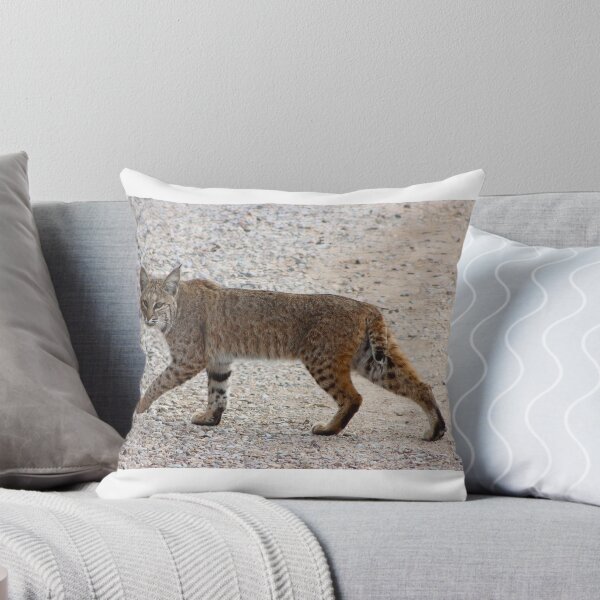 Item preview, Stunning Bobcat Looking At You designed and sold by simonjayphotos.