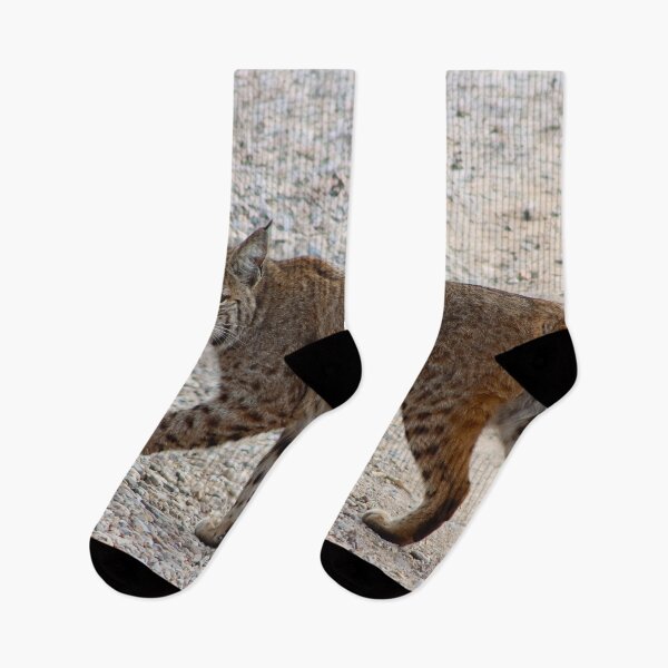 Item preview, Stunning Bobcat Looking At You designed and sold by simonjayphotos.
