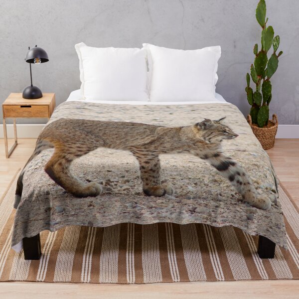 Item preview, Bobcat Ready To Move designed and sold by simonjayphotos.