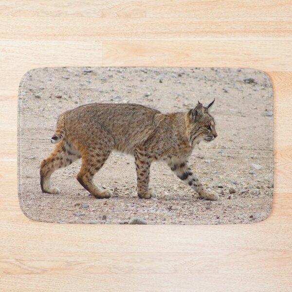 Item preview, Bobcat Stalking  designed and sold by simonjayphotos.