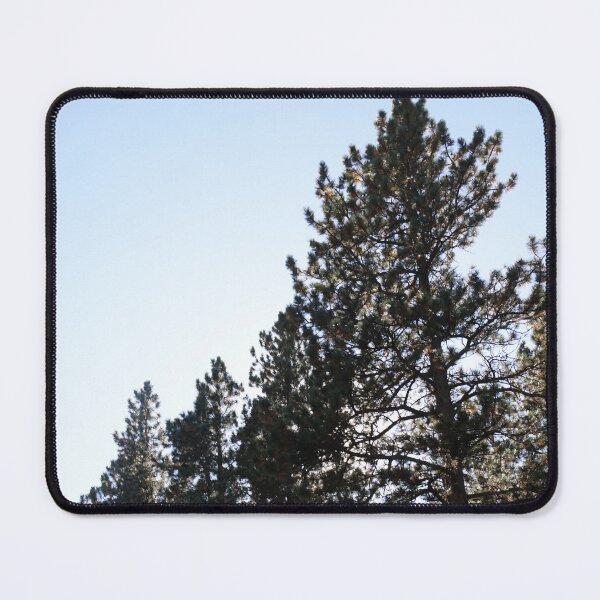 Item preview, Trees in front of the sun designed and sold by kenedyraemedia.