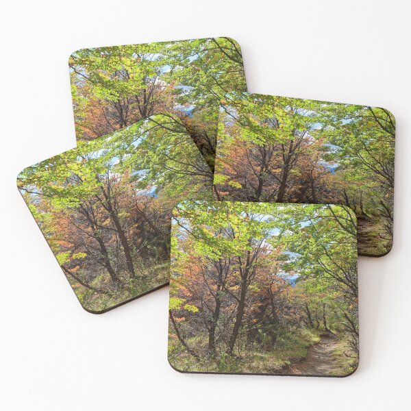 Item preview, Autumn colours begin in El Chalten designed and sold by stevepaint.