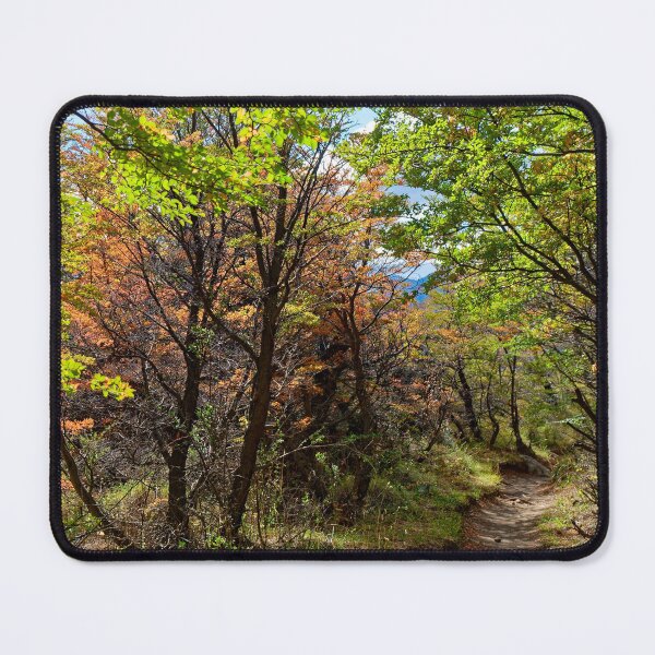 Item preview, Autumn colours begin in El Chalten designed and sold by stevepaint.