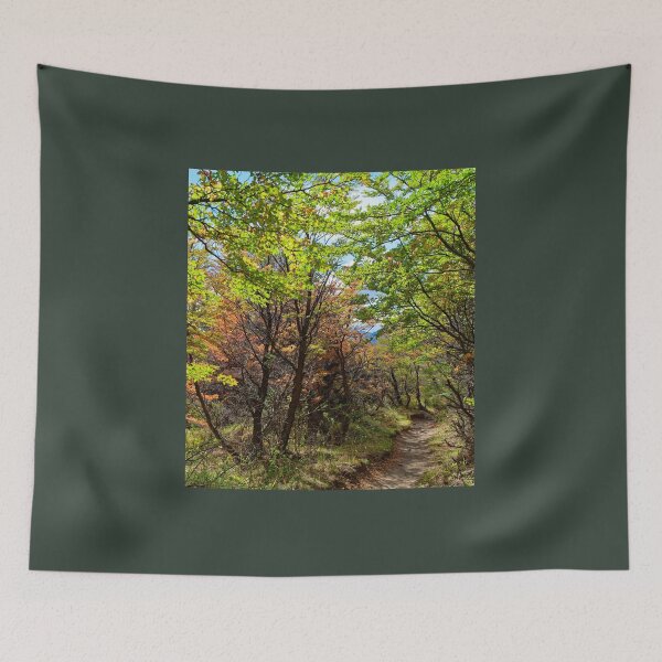 Item preview, Autumn colours begin in El Chalten designed and sold by stevepaint.