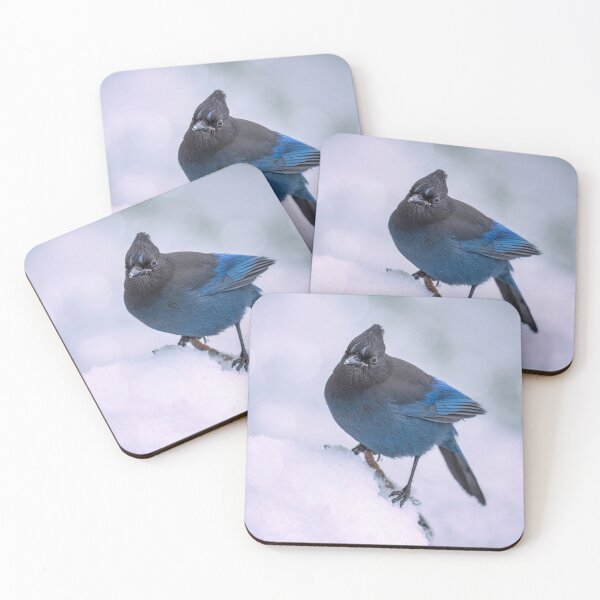 Item preview, Steller's Jay Haines Alaska designed and sold by PhotoArt by Joan Carroll.