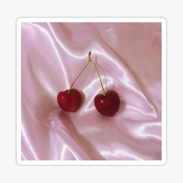red coquette cherry  Sticker for Sale by ilovetay444