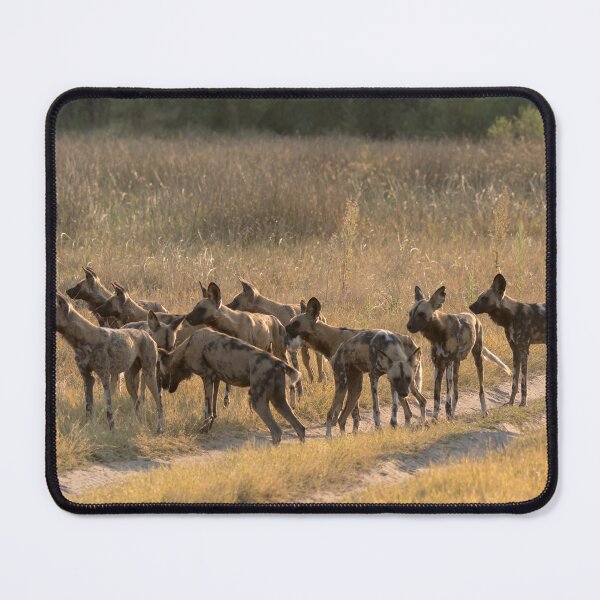 Item preview, The Golden Pack — African Wild Dogs Gathering at Sunset designed and sold by DavideAntoniani.